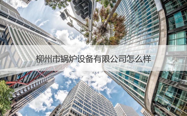 柳州的產(chǎn)業(yè)機遇 鍋爐設(shè)備、就業(yè)環(huán)境與針紡原料銷售分析