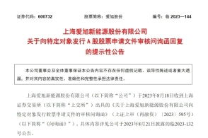 小微企業(yè)的巧勁 黃梅九貝寵物用品廠的成立信號